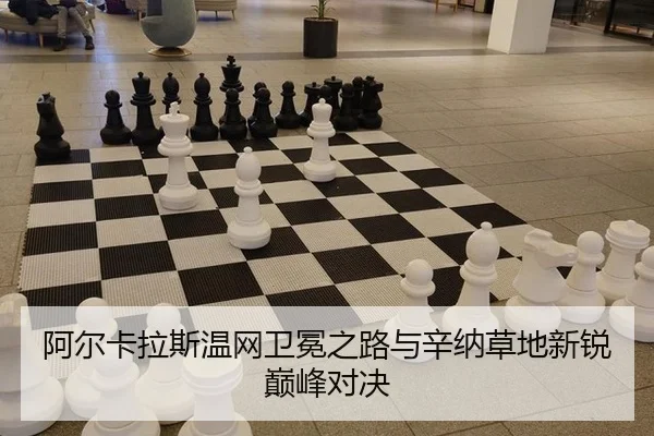 a-er-ka-la-si-wen-wang-wei-mian-zhi-lu-yu-xin-na-cao-di-xin-rui-dian-feng-dui-jue-3-209.jpg