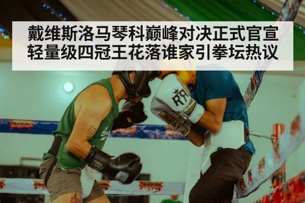 戴维斯洛马琴科巅峰对决正式官宣轻量级四冠王花落谁家引拳坛热议