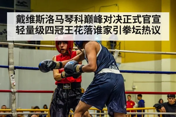 boxing match action