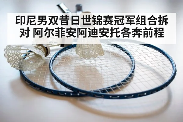 印尼男双昔日世锦赛冠军组合拆对 阿尔菲安阿迪安托各奔前程